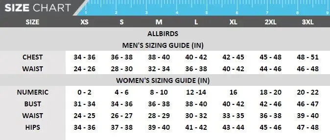 allbirds Women's Thong